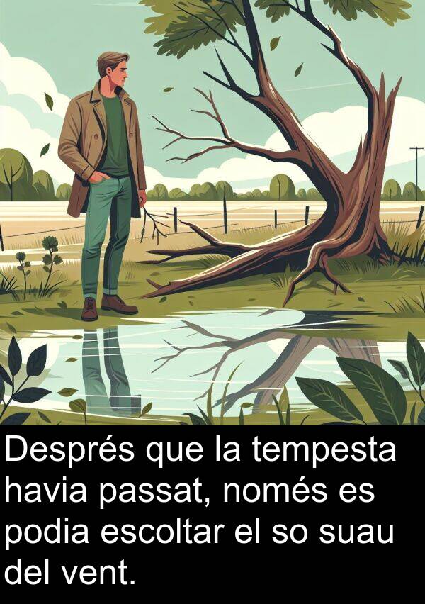 vent: Després que la tempesta havia passat, només es podia escoltar el so suau del vent.