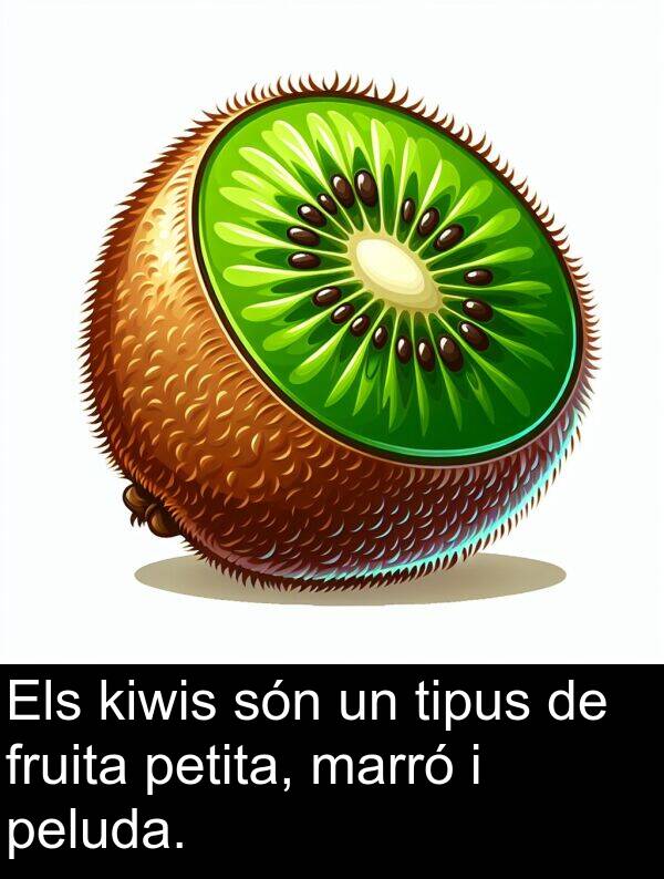 tipus: Els kiwis són un tipus de fruita petita, marró i peluda.