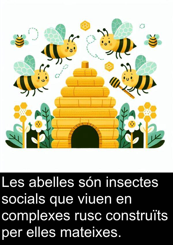 elles: Les abelles són insectes socials que viuen en complexes rusc construïts per elles mateixes.