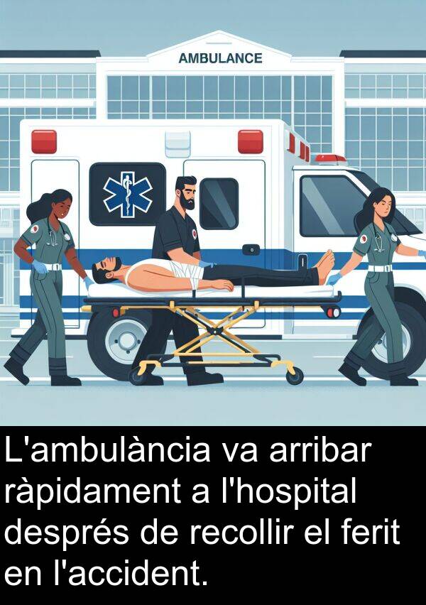 arribar: L'ambulància va arribar ràpidament a l'hospital després de recollir el ferit en l'accident.