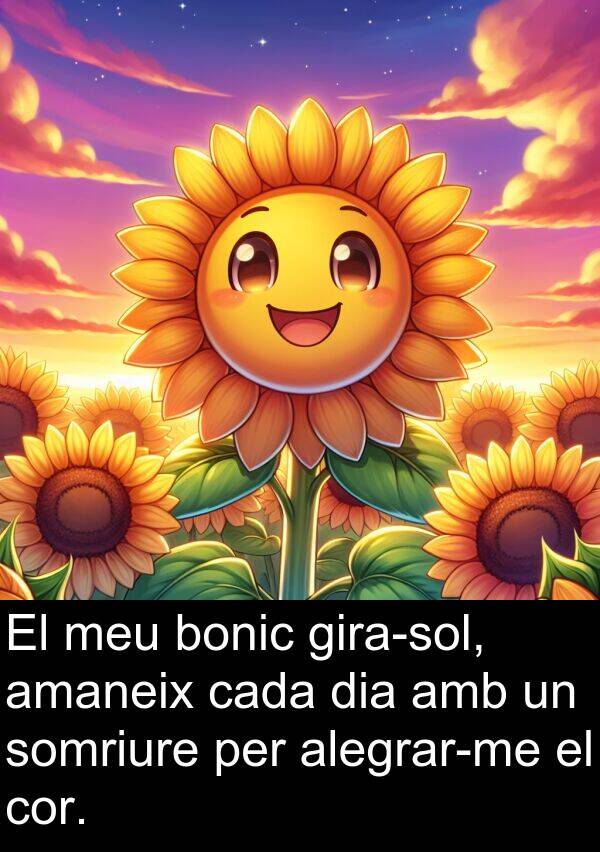 bonic: El meu bonic gira-sol, amaneix cada dia amb un somriure per alegrar-me el cor.
