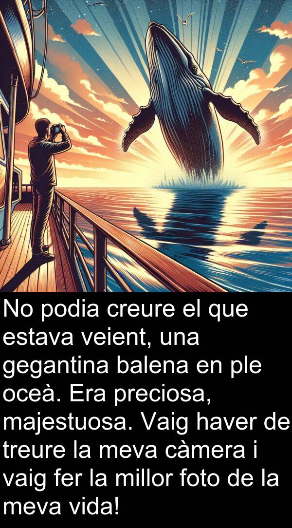 podia: No podia creure el que estava veient, una gegantina balena en ple oceà. Era preciosa, majestuosa. Vaig haver de treure la meva càmera i vaig fer la millor foto de la meva vida!