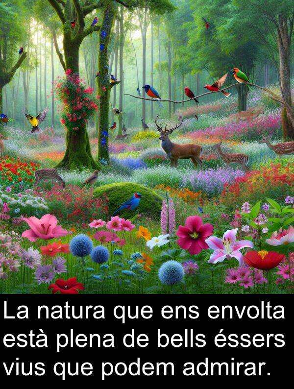 podem: La natura que ens envolta està plena de bells éssers vius que podem admirar.