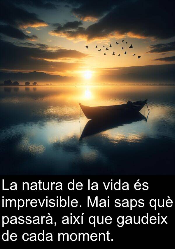 imprevisible: La natura de la vida és imprevisible. Mai saps què passarà, així que gaudeix de cada moment.