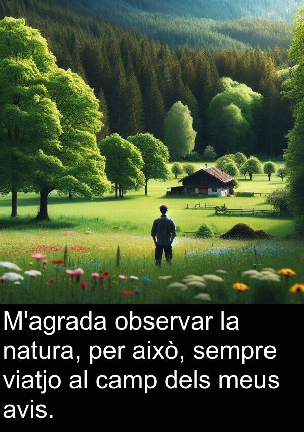 això: M'agrada observar la natura, per això, sempre viatjo al camp dels meus avis.