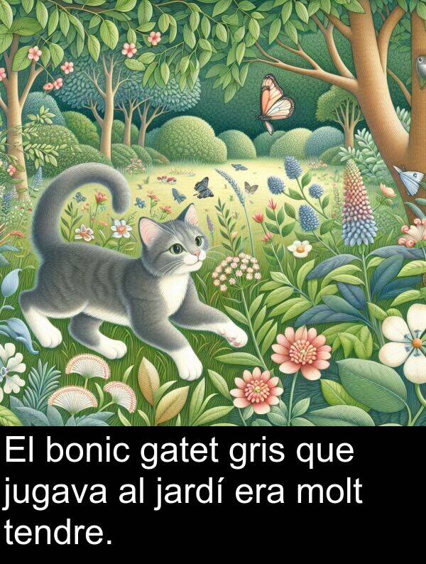 bonic: El bonic gatet gris que jugava al jardí era molt tendre.