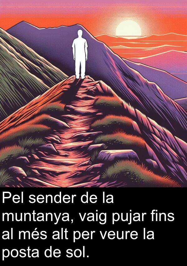 muntanya: Pel sender de la muntanya, vaig pujar fins al més alt per veure la posta de sol.