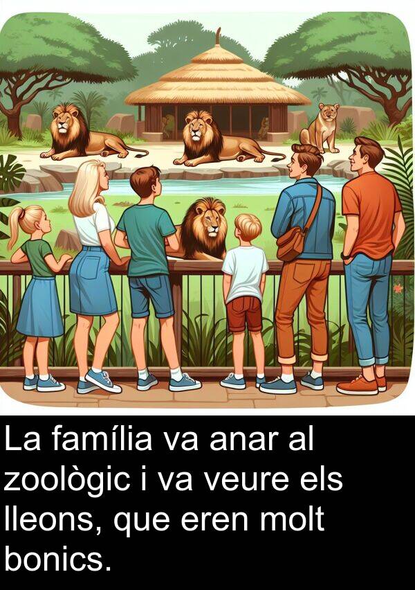 anar: La família va anar al zoològic i va veure els lleons, que eren molt bonics.