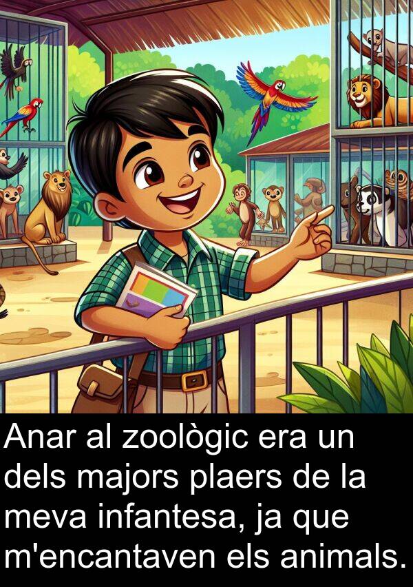 zoològic: Anar al zoològic era un dels majors plaers de la meva infantesa, ja que m'encantaven els animals.