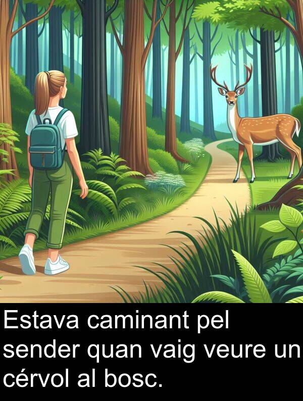 caminant: Estava caminant pel sender quan vaig veure un cérvol al bosc.