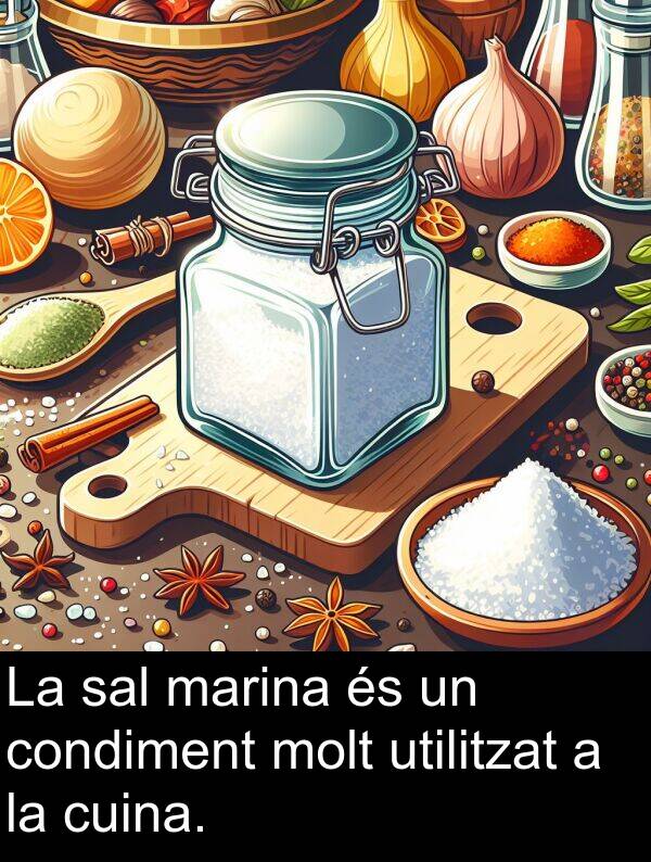 sal: La sal marina és un condiment molt utilitzat a la cuina.