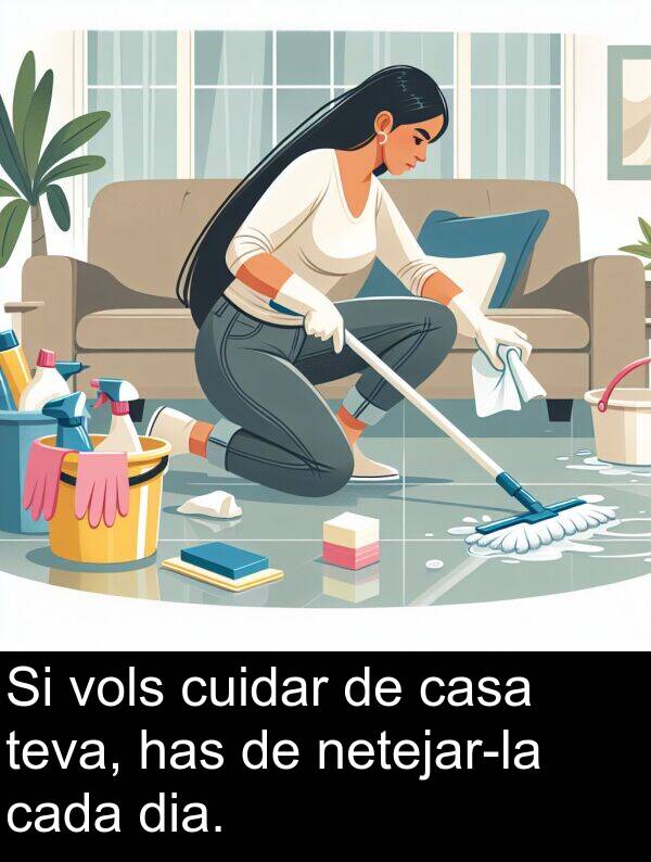 dia: Si vols cuidar de casa teva, has de netejar-la cada dia.