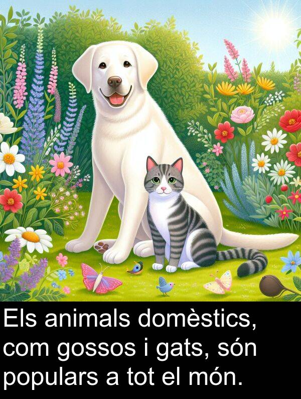 gossos: Els animals domèstics, com gossos i gats, són populars a tot el món.