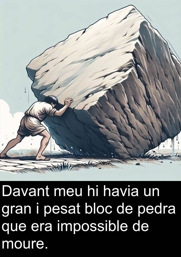 havia: Davant meu hi havia un gran i pesat bloc de pedra que era impossible de moure.