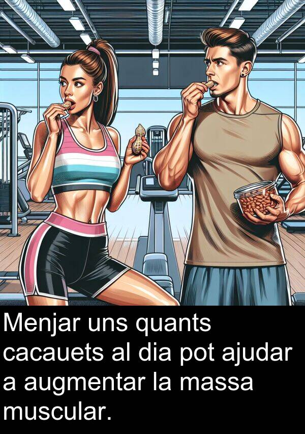 cacauets: Menjar uns quants cacauets al dia pot ajudar a augmentar la massa muscular.