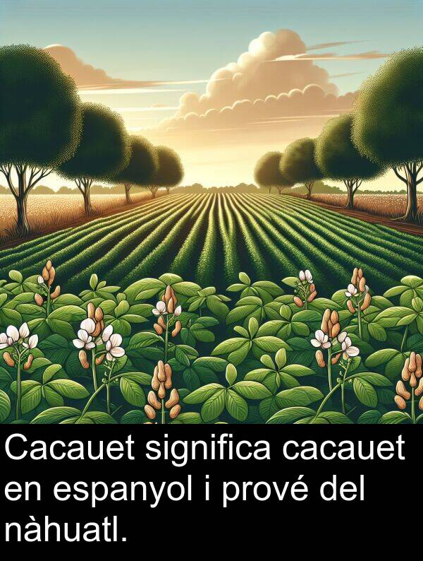 nàhuatl: Cacauet significa cacauet en espanyol i prové del nàhuatl.