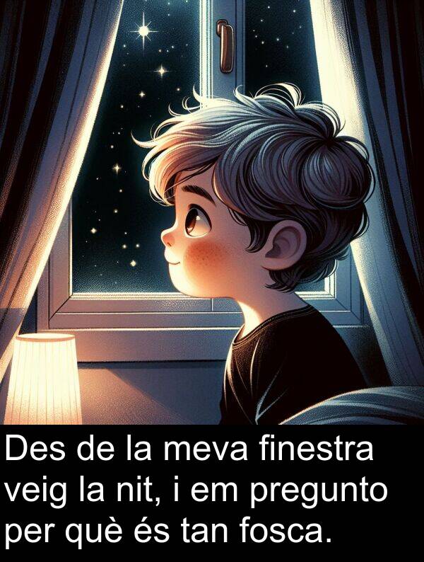 tan: Des de la meva finestra veig la nit, i em pregunto per què és tan fosca.