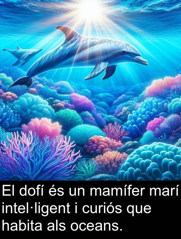 intel·ligent: El dofí és un mamífer marí intel·ligent i curiós que habita als oceans.