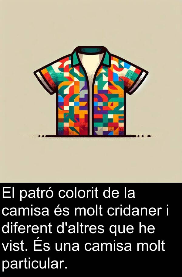 camisa: El patró colorit de la camisa és molt cridaner i diferent d'altres que he vist. És una camisa molt particular.