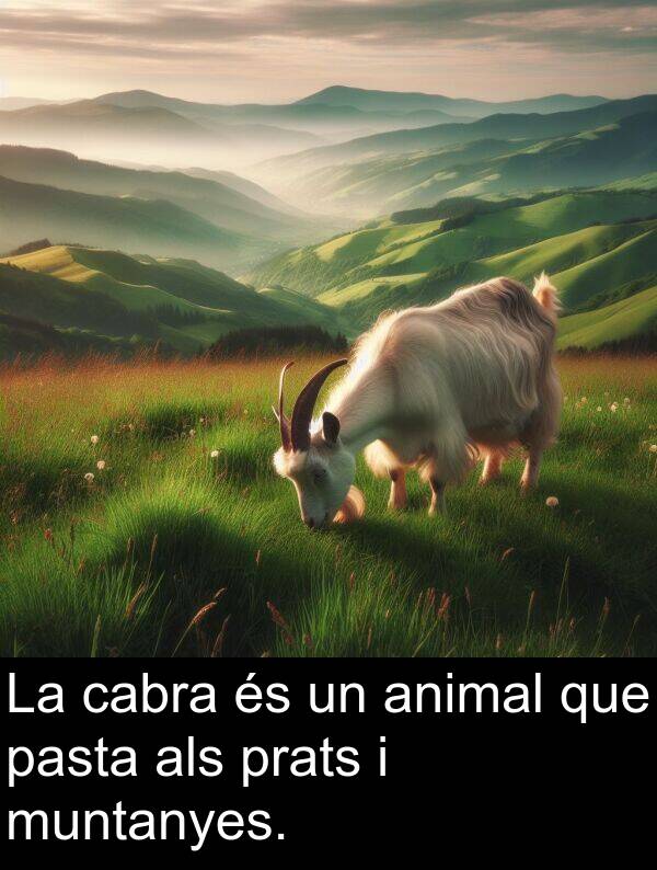 muntanyes: La cabra és un animal que pasta als prats i muntanyes.