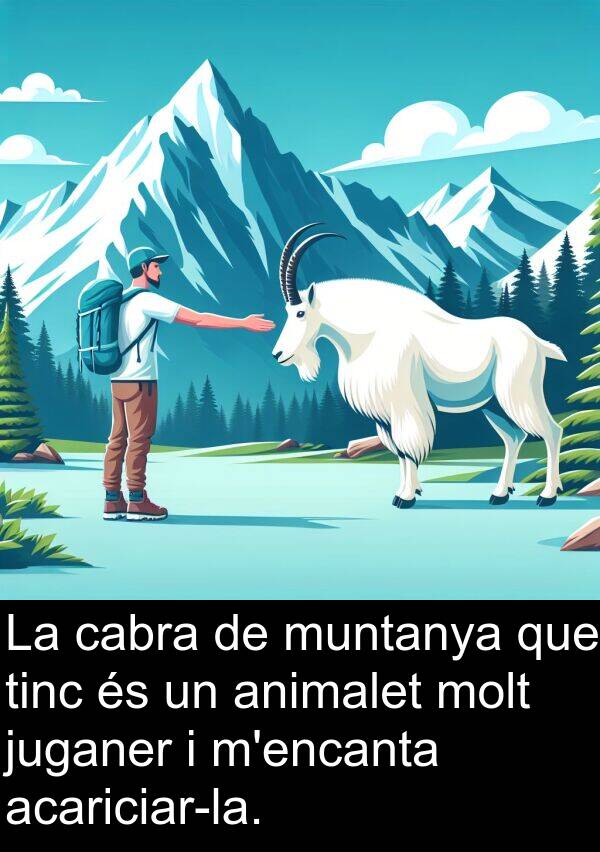 muntanya: La cabra de muntanya que tinc és un animalet molt juganer i m'encanta acariciar-la.