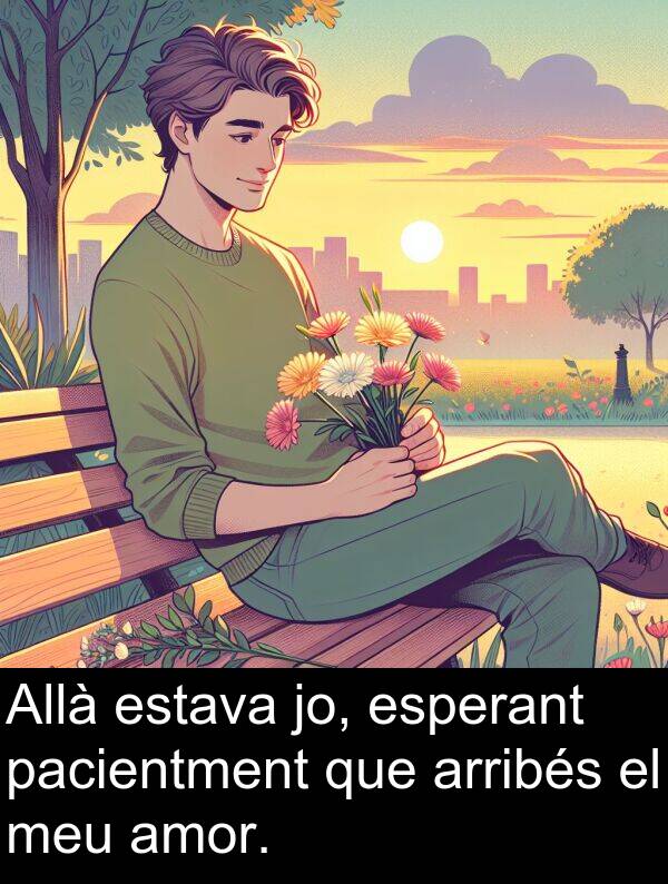 amor: Allà estava jo, esperant pacientment que arribés el meu amor.