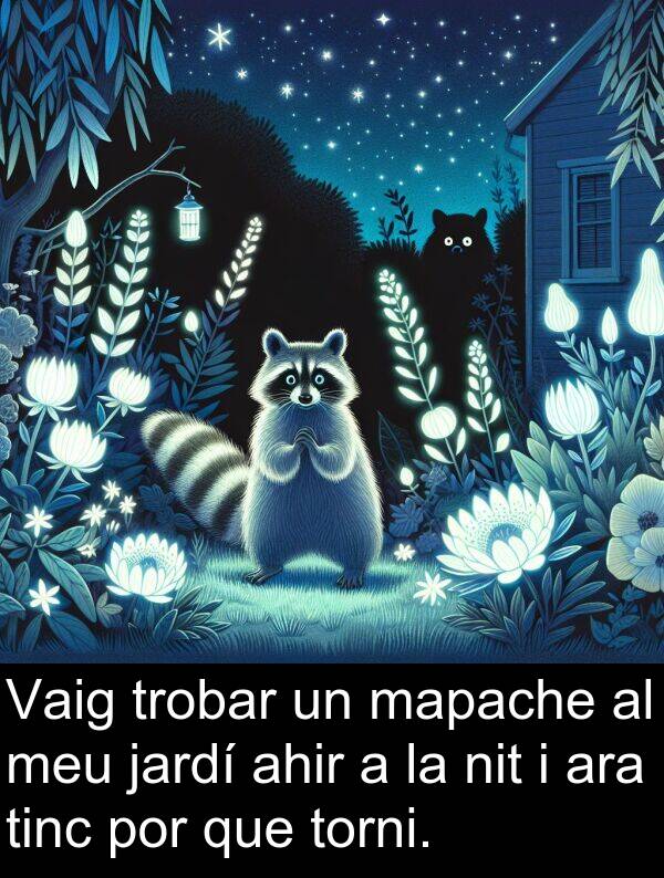 por: Vaig trobar un mapache al meu jardí ahir a la nit i ara tinc por que torni.