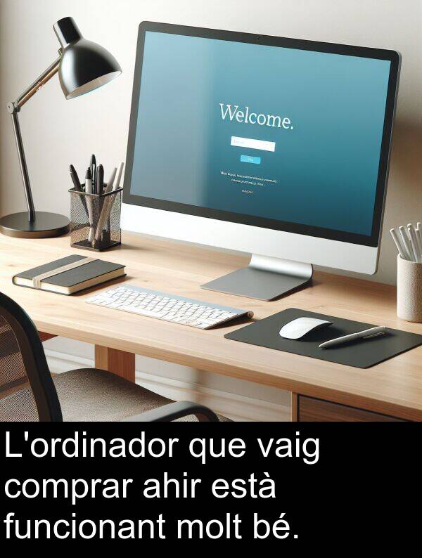 bé: L'ordinador que vaig comprar ahir està funcionant molt bé.