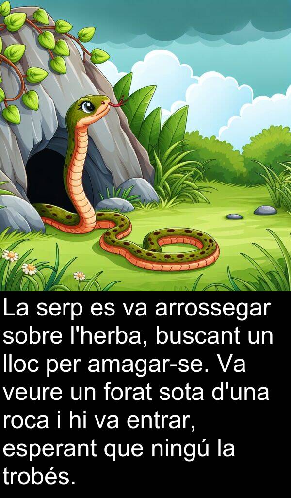 forat: La serp es va arrossegar sobre l'herba, buscant un lloc per amagar-se. Va veure un forat sota d'una roca i hi va entrar, esperant que ningú la trobés.