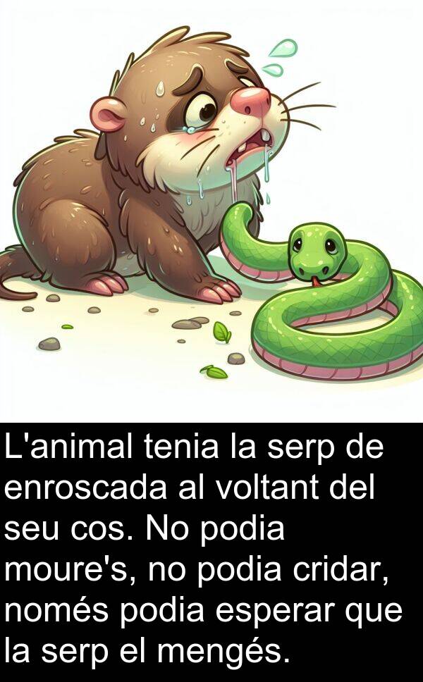 cos: L'animal tenia la serp de enroscada al voltant del seu cos. No podia moure's, no podia cridar, només podia esperar que la serp el mengés.