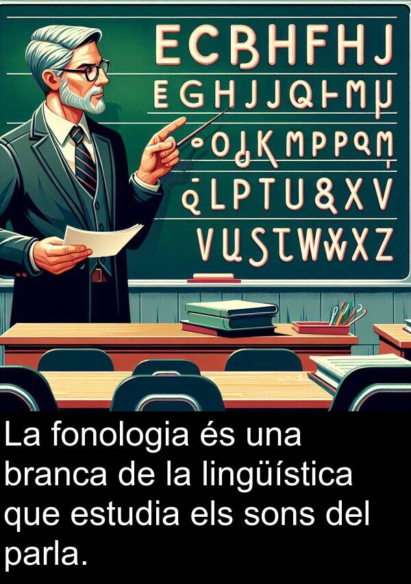 parla: La fonologia és una branca de la lingüística que estudia els sons del parla.
