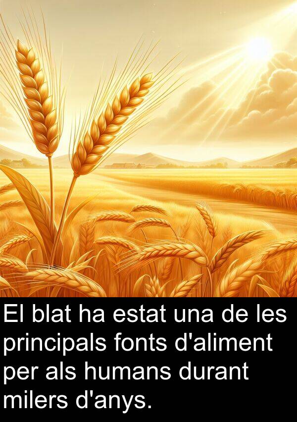 humans: El blat ha estat una de les principals fonts d'aliment per als humans durant milers d'anys.