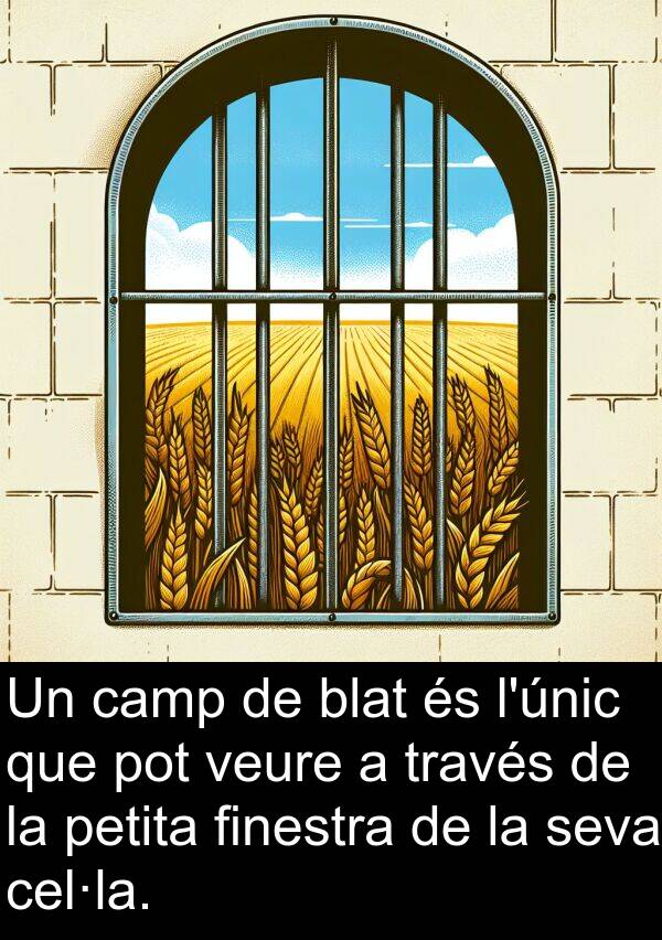 cel·la: Un camp de blat és l'únic que pot veure a través de la petita finestra de la seva cel·la.