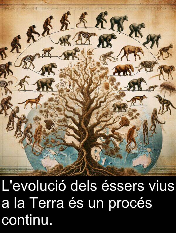 procés: L'evolució dels éssers vius a la Terra és un procés continu.