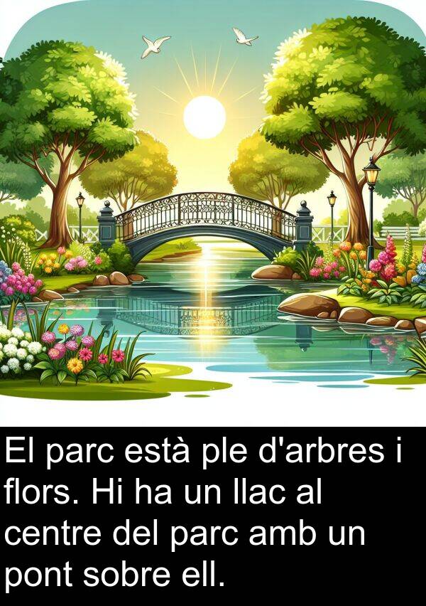 ell: El parc està ple d'arbres i flors. Hi ha un llac al centre del parc amb un pont sobre ell.