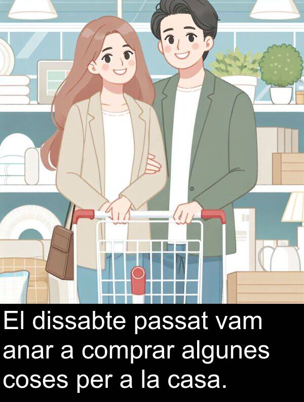 anar: El dissabte passat vam anar a comprar algunes coses per a la casa.