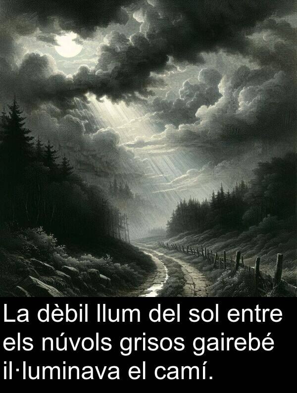 núvols: La dèbil llum del sol entre els núvols grisos gairebé il·luminava el camí.