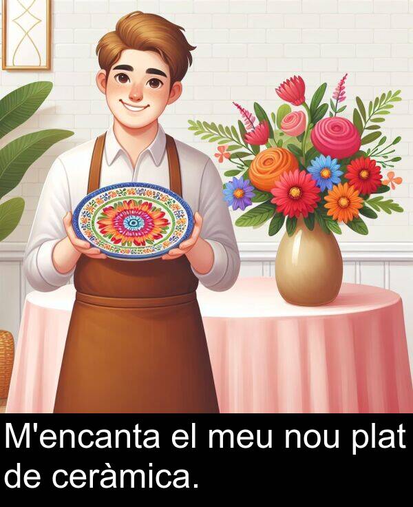 plat: M'encanta el meu nou plat de ceràmica.