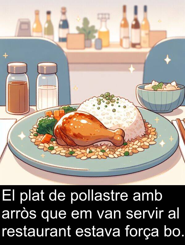 força: El plat de pollastre amb arròs que em van servir al restaurant estava força bo.