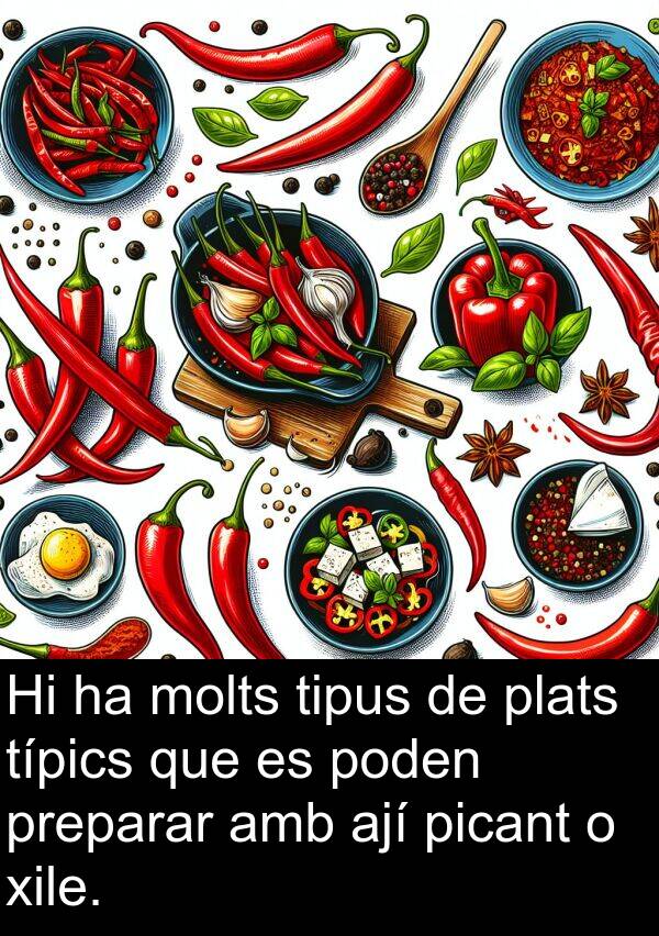 poden: Hi ha molts tipus de plats típics que es poden preparar amb ají picant o xile.