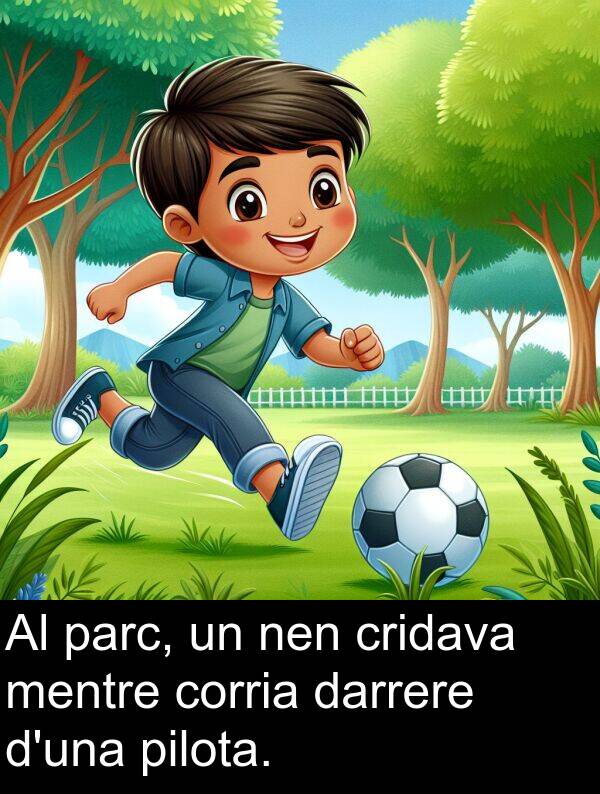 nen: Al parc, un nen cridava mentre corria darrere d'una pilota.