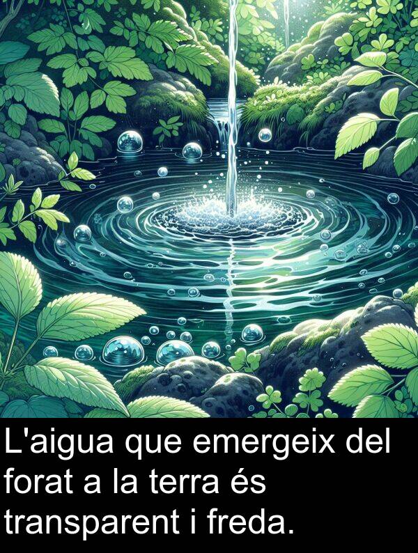 freda: L'aigua que emergeix del forat a la terra és transparent i freda.