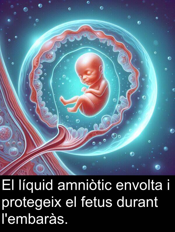envolta: El líquid amniòtic envolta i protegeix el fetus durant l'embaràs.