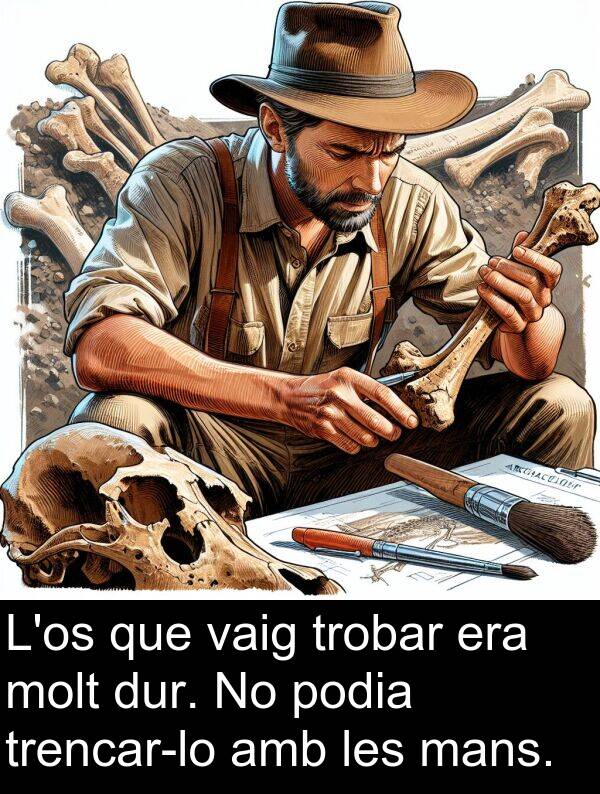podia: L'os que vaig trobar era molt dur. No podia trencar-lo amb les mans.