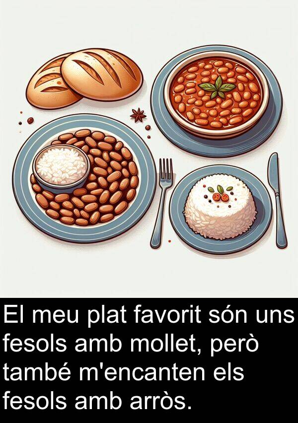 també: El meu plat favorit són uns fesols amb mollet, però també m'encanten els fesols amb arròs.