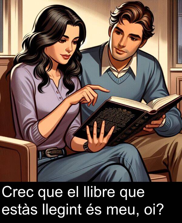 llibre: Crec que el llibre que estàs llegint és meu, oi?