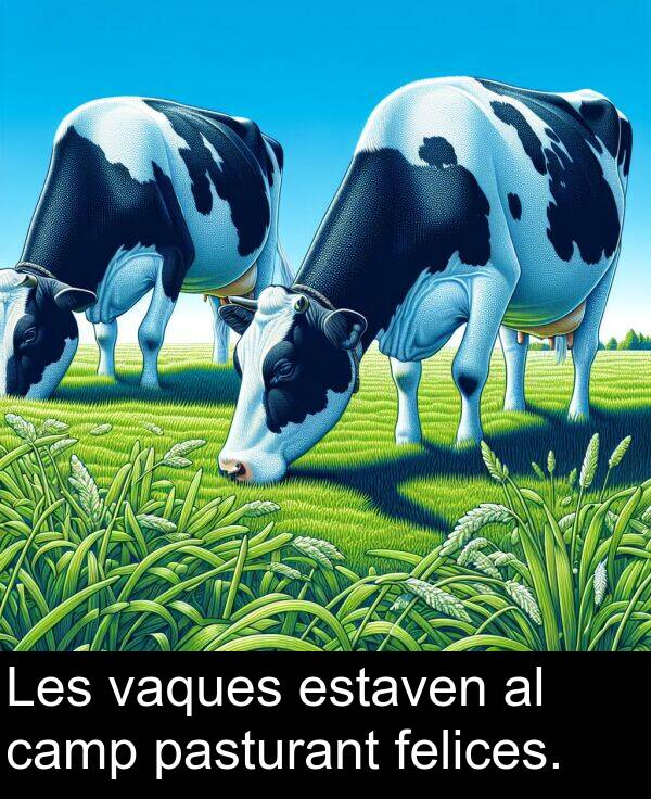 estaven: Les vaques estaven al camp pasturant felices.