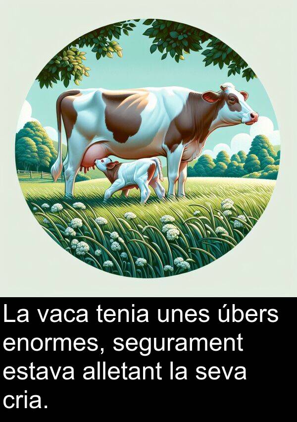 enormes: La vaca tenia unes úbers enormes, segurament estava alletant la seva cria.