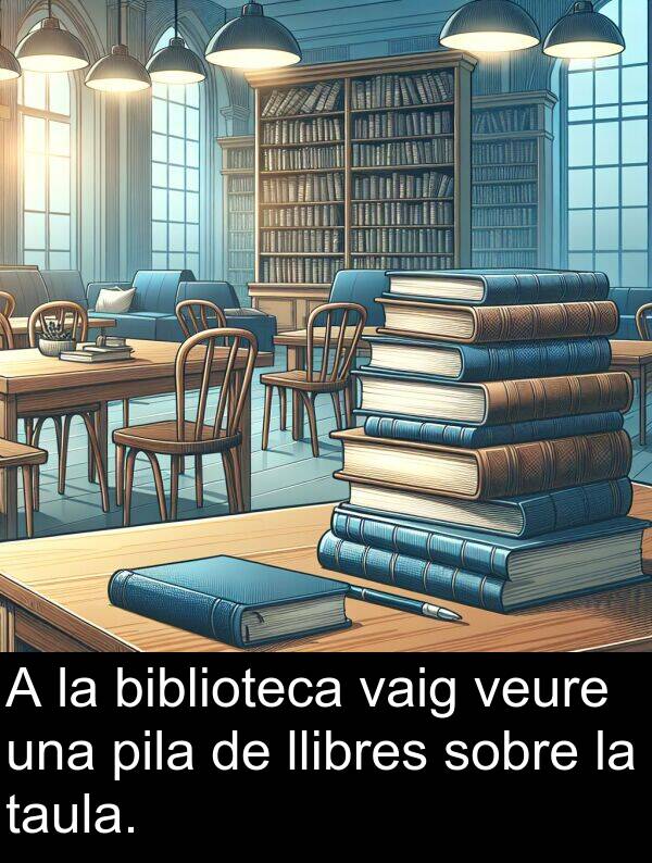 llibres: A la biblioteca vaig veure una pila de llibres sobre la taula.