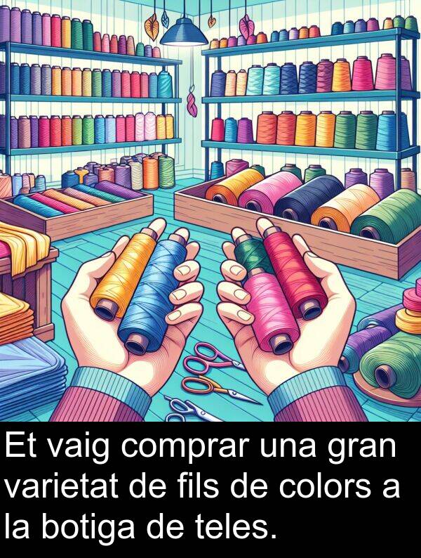 teles: Et vaig comprar una gran varietat de fils de colors a la botiga de teles.